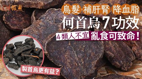 何首烏 功效|何首烏功效｜黑髮補肝腎7好處製首烏更有益？4類人不 